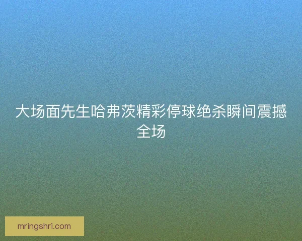 大场面先生哈弗茨精彩停球绝杀瞬间震撼全场