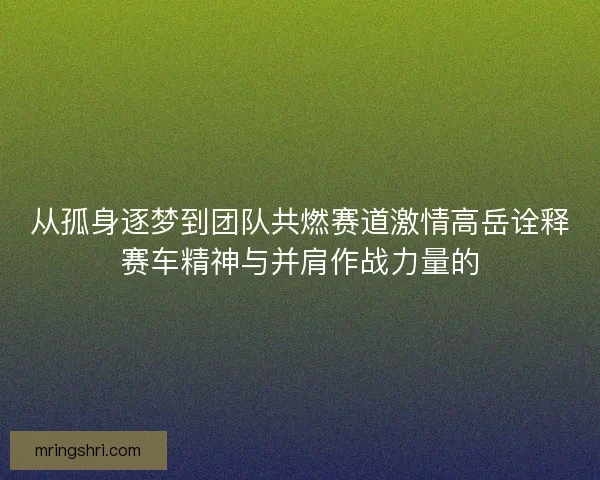 从孤身逐梦到团队共燃赛道激情高岳诠释赛车精神与并肩作战力量的 从孤身逐梦到团队共燃赛道激情高岳诠释赛车精神与并肩作战力量的