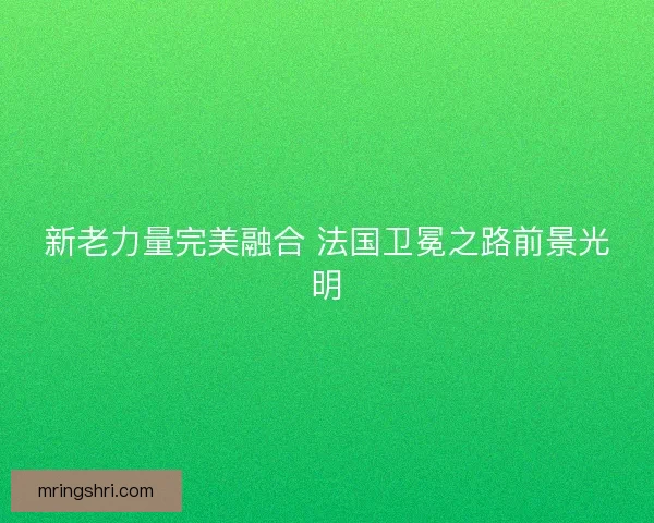 新老力量完美融合 法国卫冕之路前景光明 新老力量完美融合 法国卫冕之路前景光明